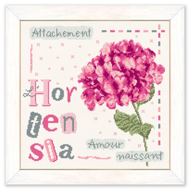 L'Hortensia