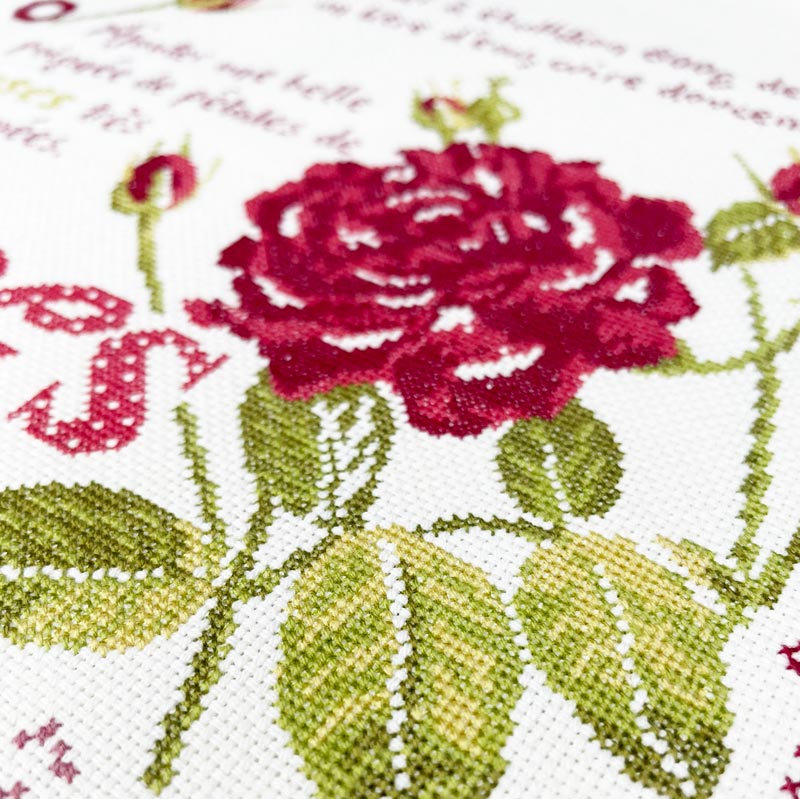 Le Sirop de roses – Image 4