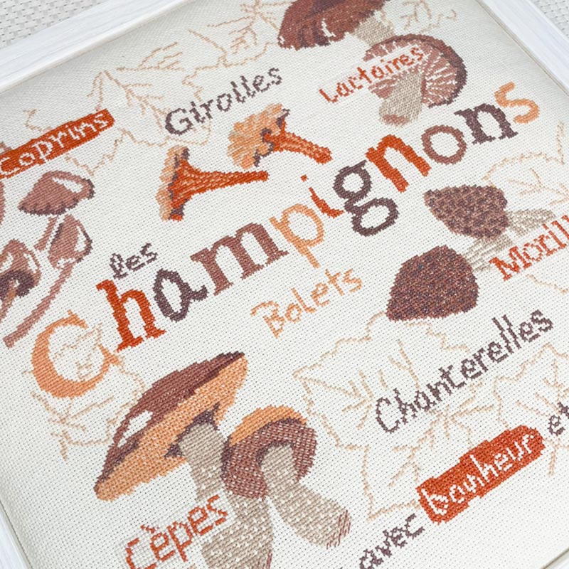 Les Champignons – Image 2