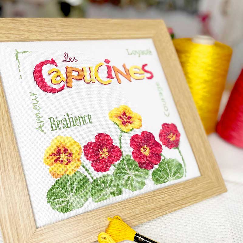 Les Capucines – Image 2